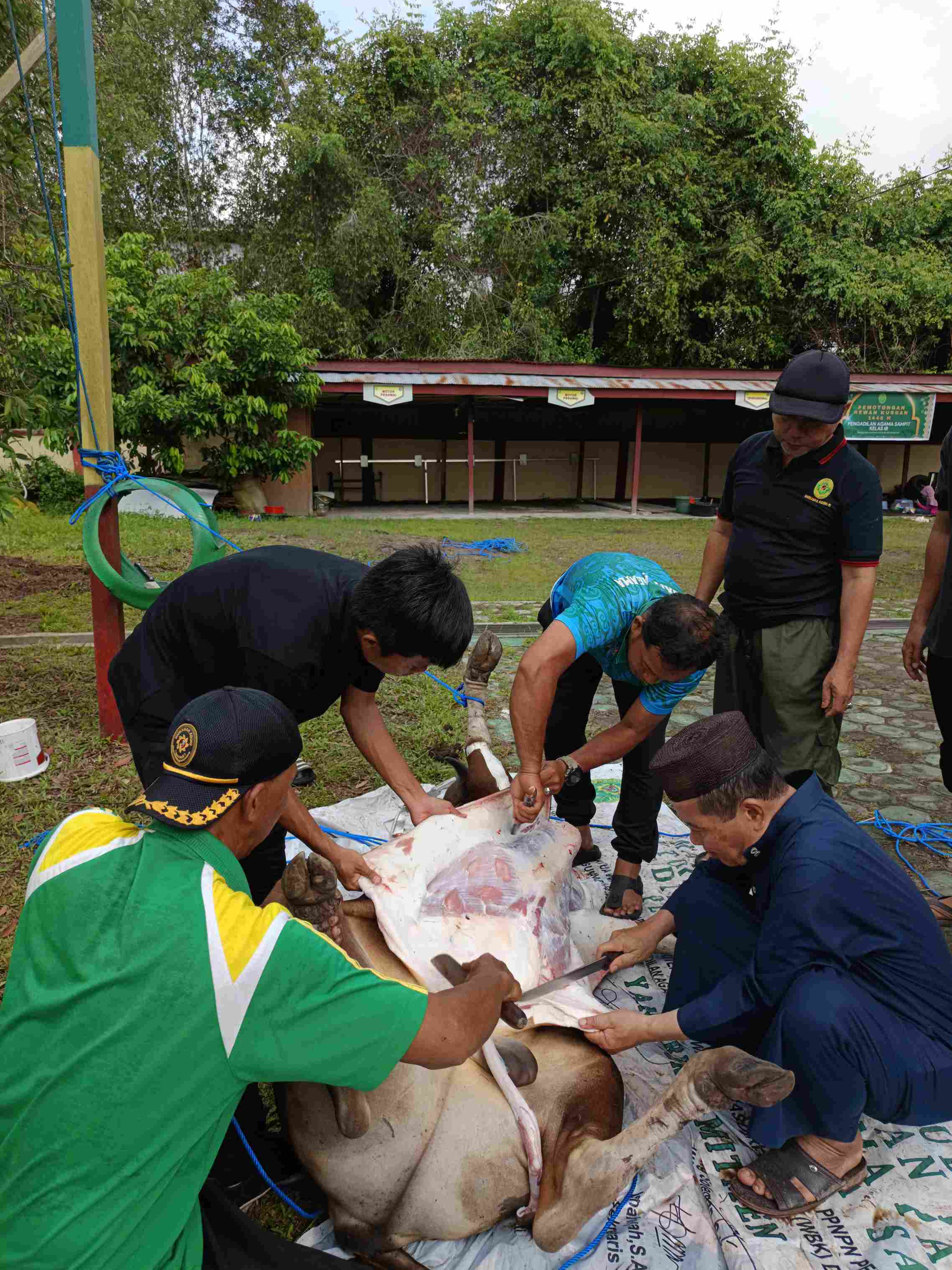 WhatsApp Image 2025 06 09 at 08.49.21 11zon